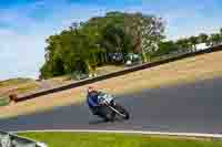 Session_51_Race_Bikes